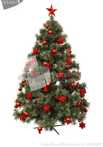 Image of Christmas tree isolated