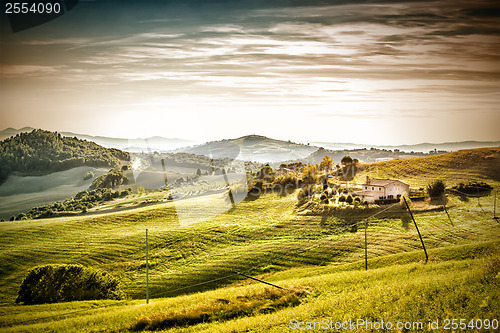 Image of Evening mood landscape Tuscany