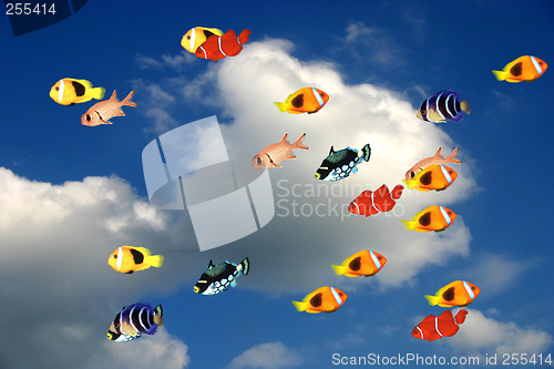 Image of Fishes against blue sky. From The Nature background series