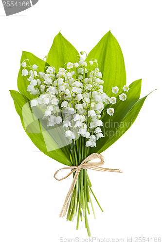 Image of Lily-of-the-valley flowers on white