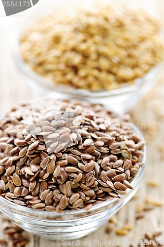 Image of Brown and golden flax seed