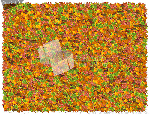 Image of Leaves background. From The Nature background series