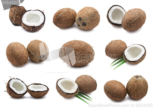 Image of Coconuts