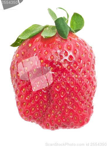 Image of Strawberry