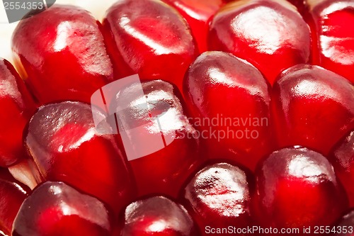 Image of Pomegranate