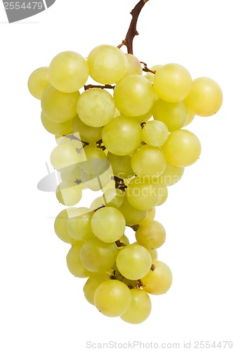 Image of Grapes