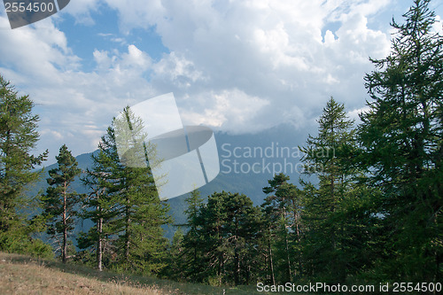 Image of Hiking in natural park in Italy