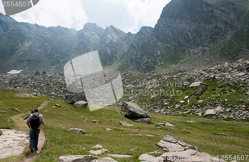 Image of Hiking in Alps