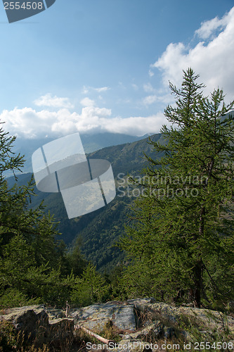 Image of Hiking in natural park in Italy