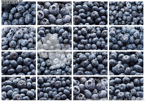 Image of Blueberries