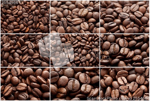 Image of Coffee beans