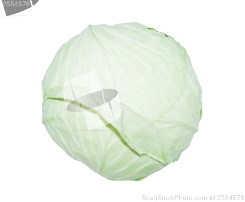Image of Cabbage