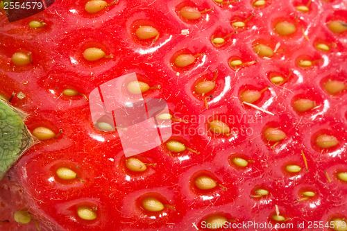 Image of Strawberry