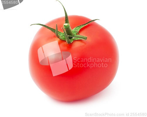 Image of Tomato