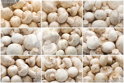 Image of Champignon mushrooms