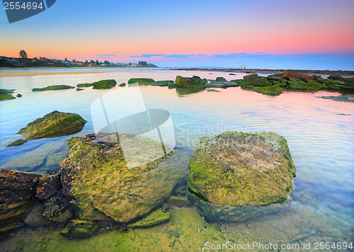 Image of Moss covered rocks on the reef shelf, Australia