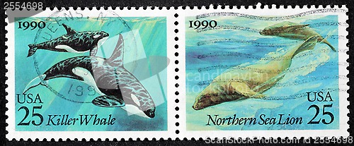 Image of Whale and Sea Lion