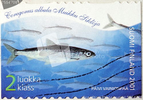 Image of European Cisco Stamp