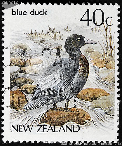 Image of Blue Duck Stamp