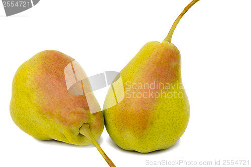 Image of Two large pears on a white background