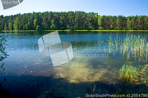 Image of Landscape at the lake