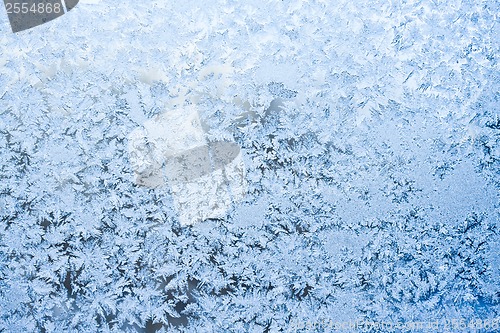 Image of Frost pattern