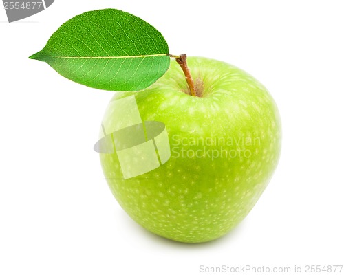 Image of Apple