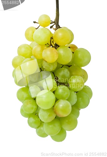 Image of Grapes