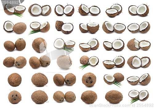 Image of Coconuts