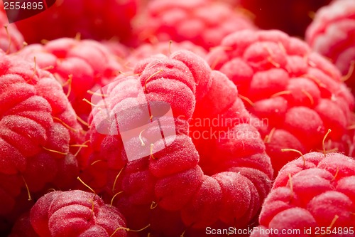 Image of Raspberries