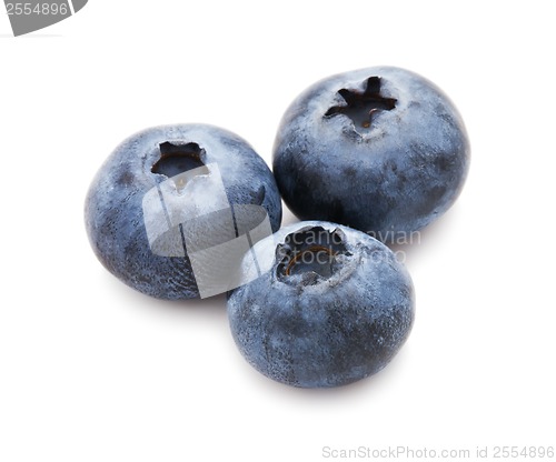 Image of Blueberry