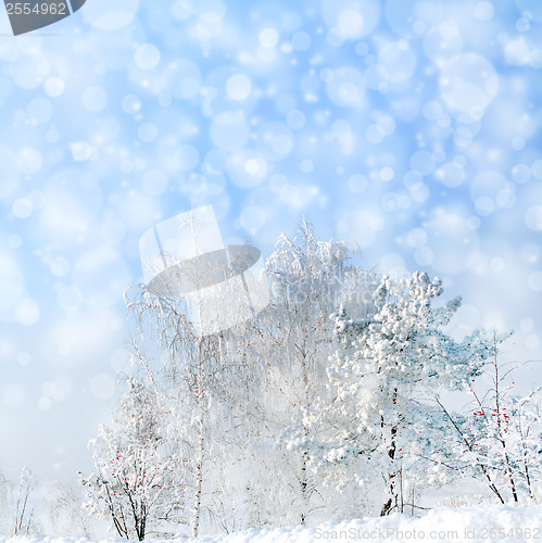 Image of winter landscape with snowfall