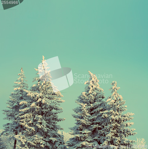 Image of fir trees with snow under sky - vintage retro style