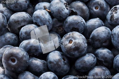 Image of Blueberries