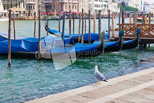 Image of Gondolas in Venice