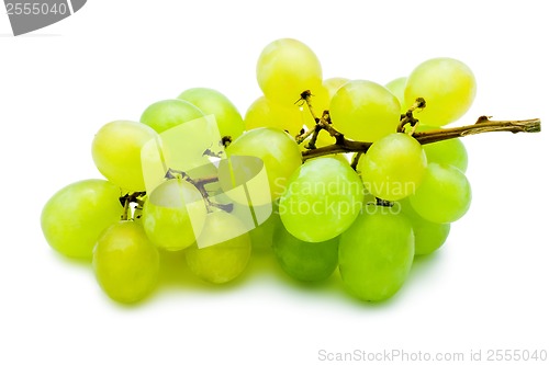 Image of Grapes