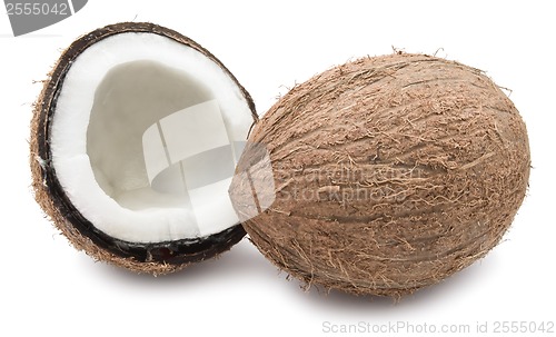 Image of Coconut