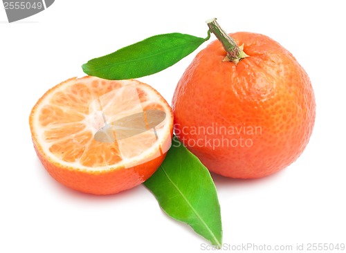 Image of Tangerines