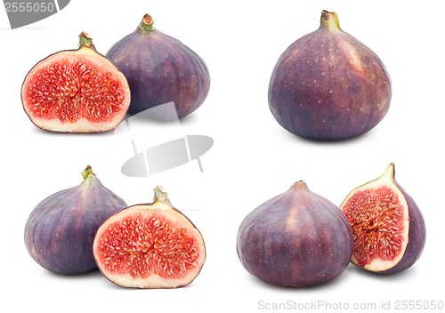 Image of Fig