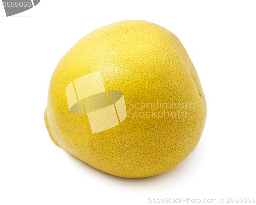 Image of Pomelo