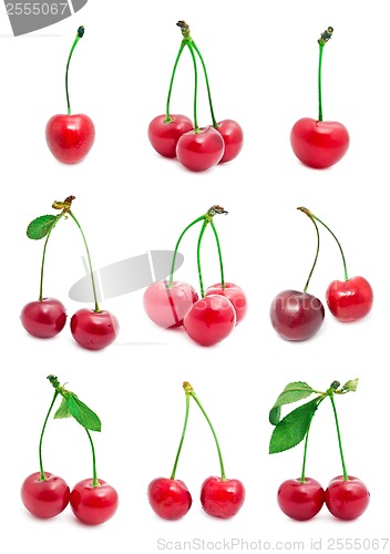 Image of Cherry