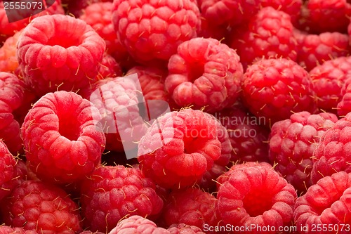 Image of Raspberries