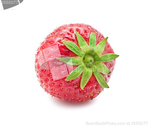 Image of Strawberry