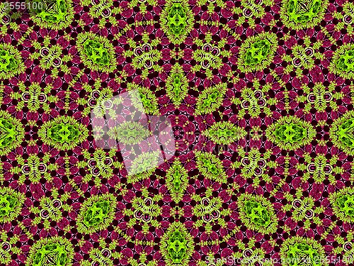 Image of Chrysanthemum natural pattern