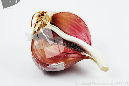 Image of closeup of clove garlic