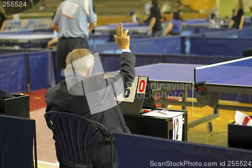 Image of Table tennis referee