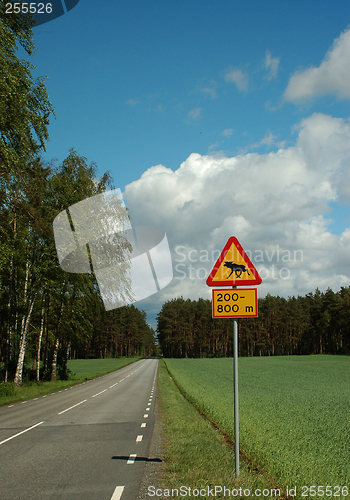 Image of Warning