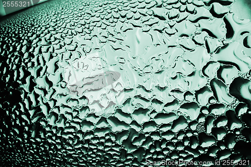 Image of Green drops of water - light from backside. Macro