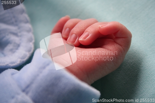 Image of Baby's hand