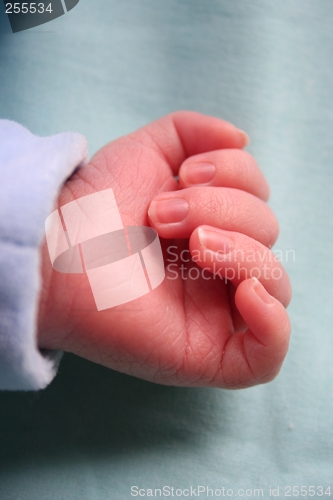 Image of Baby's hand